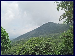 Ruta de las Flores - various 28